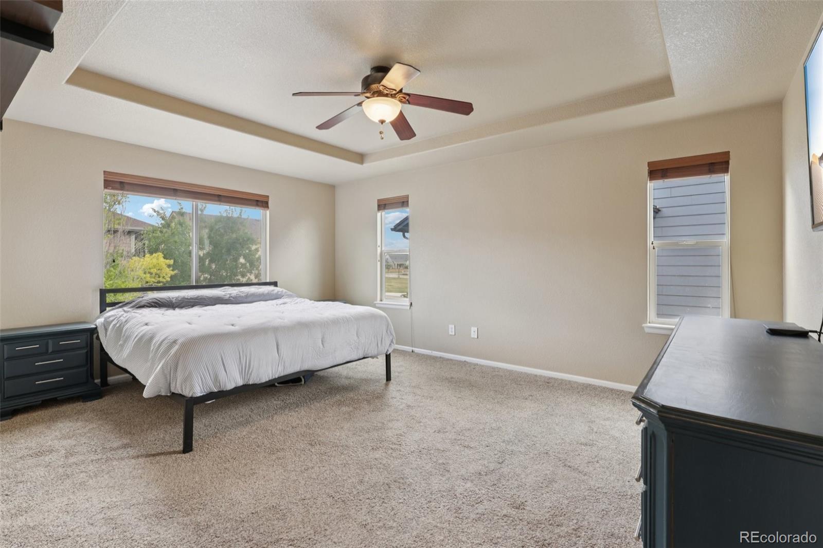 MLS Image #14 for 10112  ventura street,commerce city, Colorado