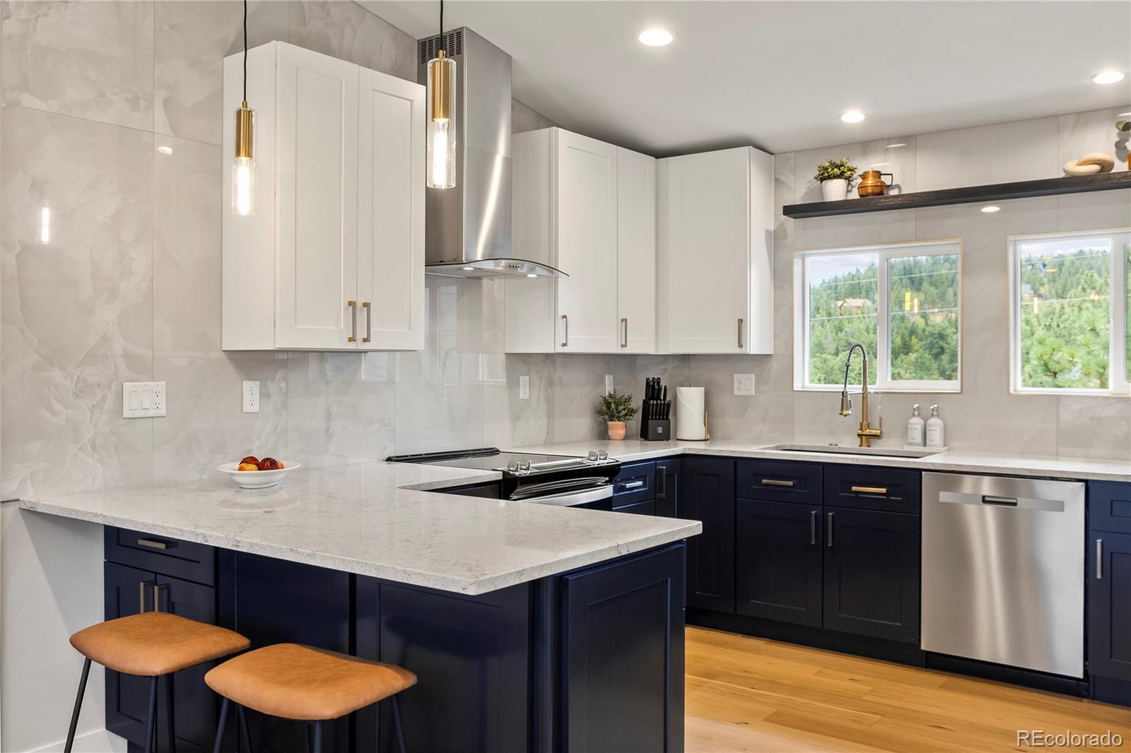 MLS Image #12 for 518  conifer drive,bailey, Colorado