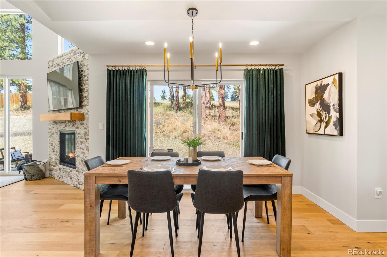 MLS Image #17 for 518  conifer drive,bailey, Colorado