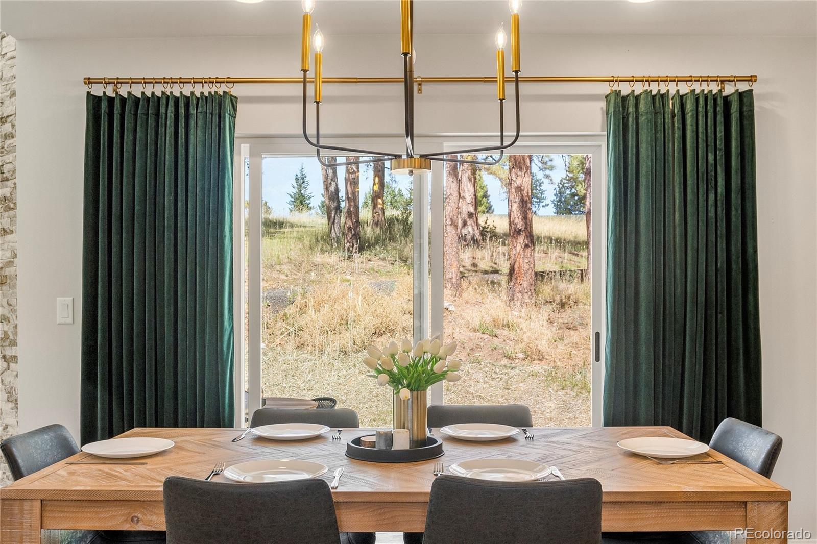 MLS Image #18 for 518  conifer drive,bailey, Colorado