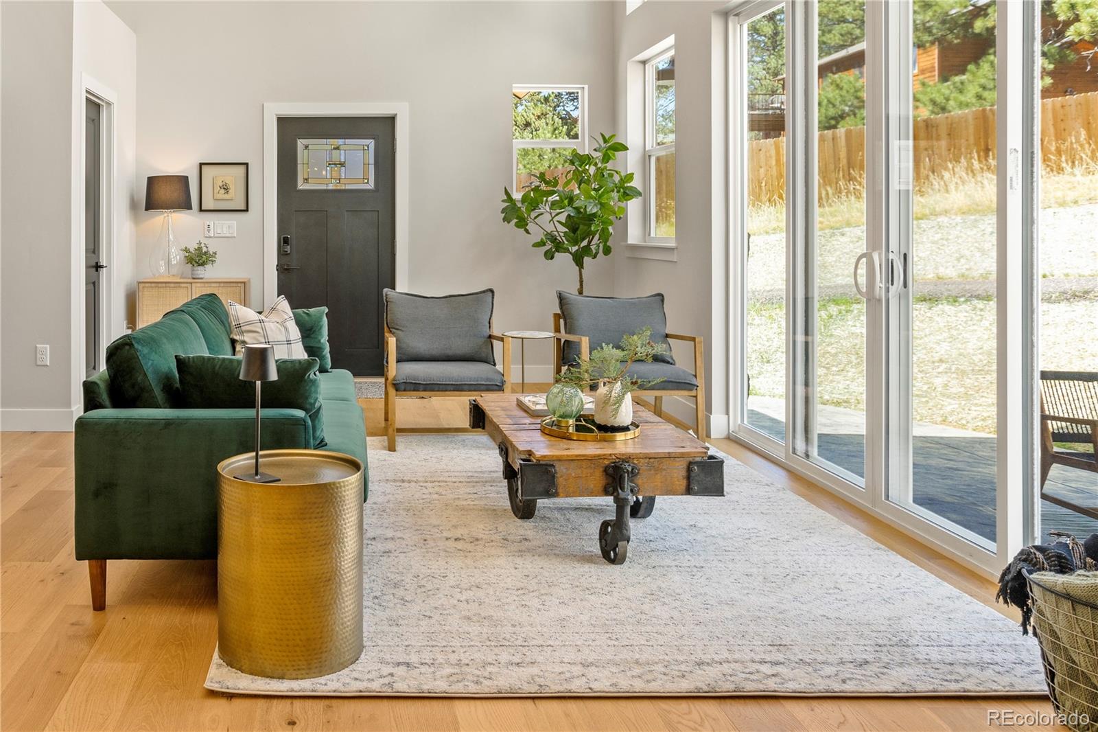 MLS Image #8 for 518  conifer drive,bailey, Colorado