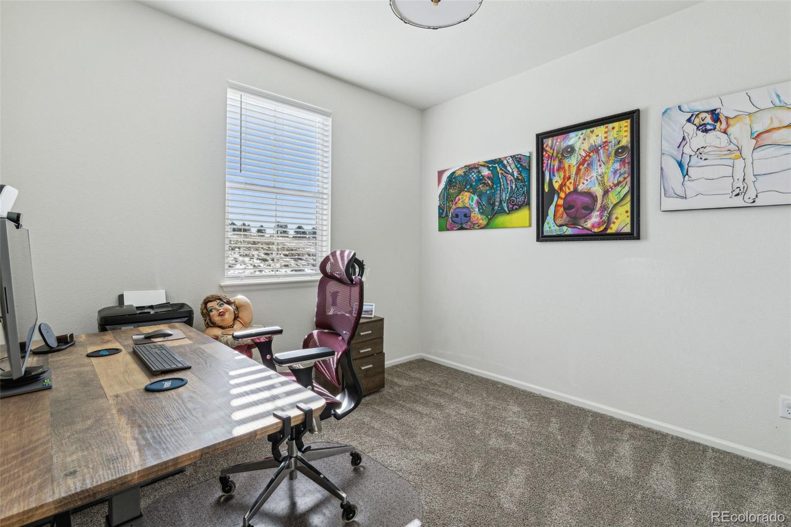 MLS Image #19 for 8086 s grand baker way,aurora, Colorado