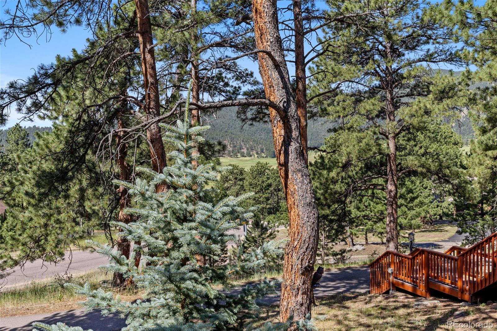 MLS Image #32 for 2394  el dorado lane,evergreen, Colorado