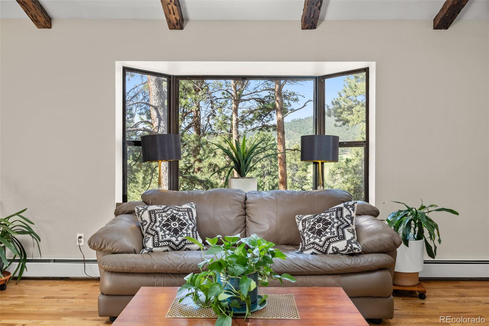 MLS Image #5 for 2394  el dorado lane,evergreen, Colorado