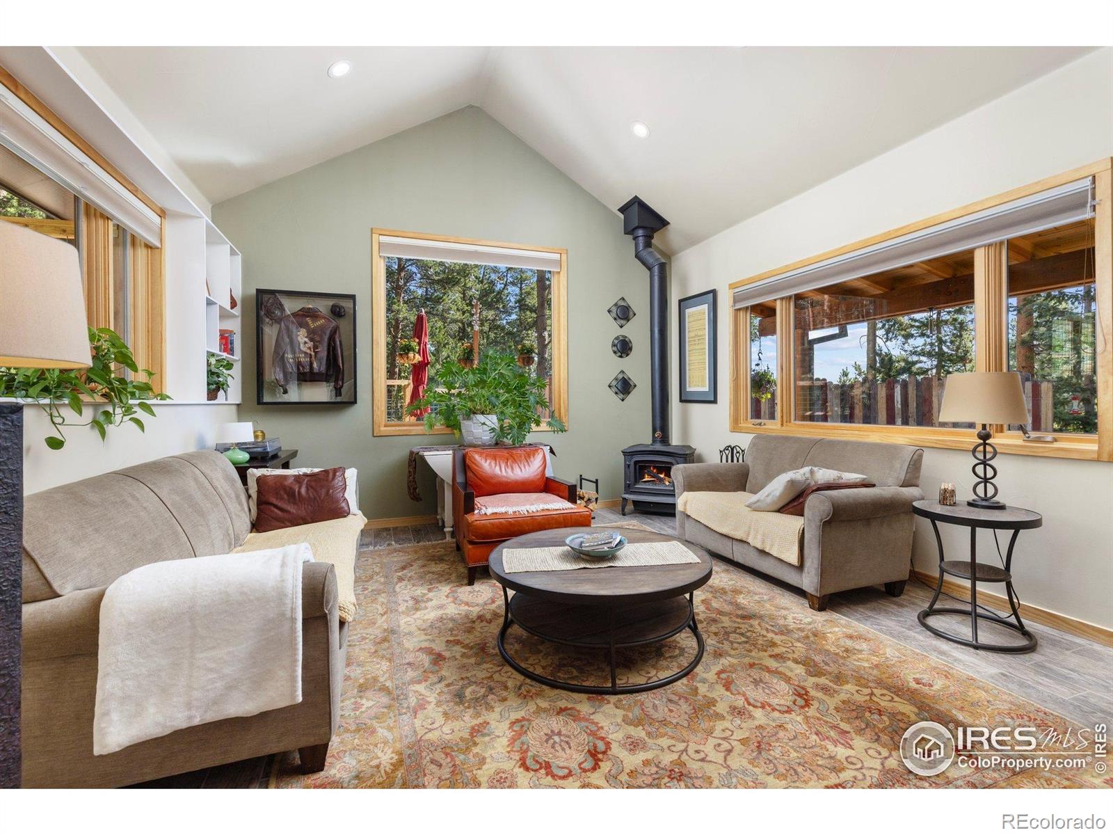 MLS Image #19 for 709  mcmillen way,nederland, Colorado