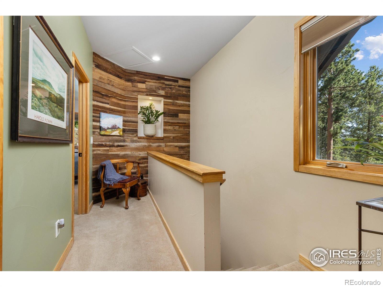 MLS Image #21 for 709  mcmillen way,nederland, Colorado