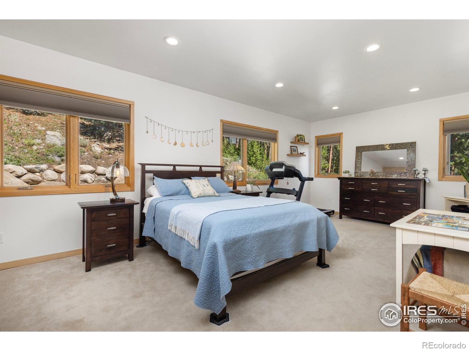 MLS Image #22 for 709  mcmillen way,nederland, Colorado