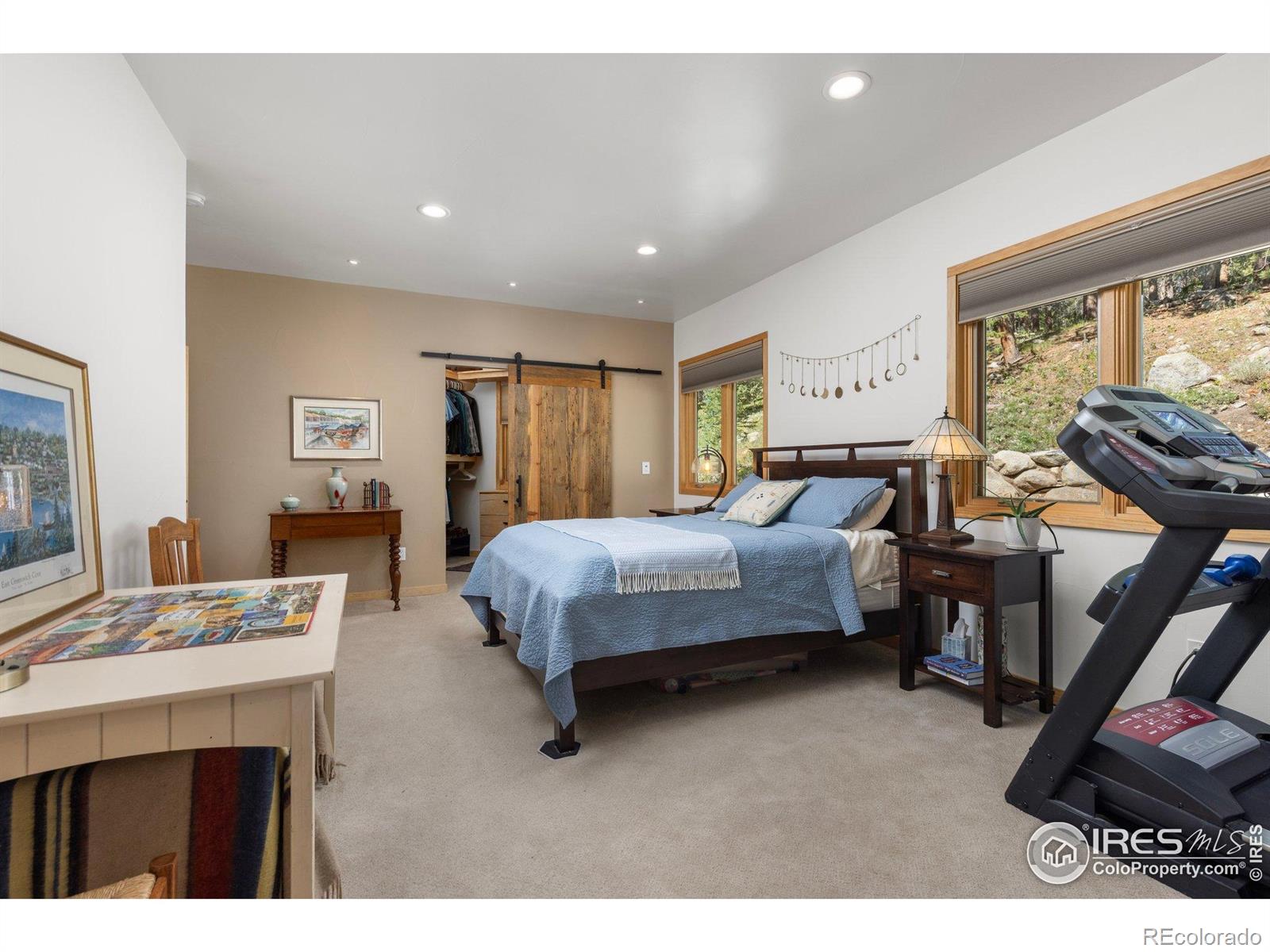 MLS Image #23 for 709  mcmillen way,nederland, Colorado