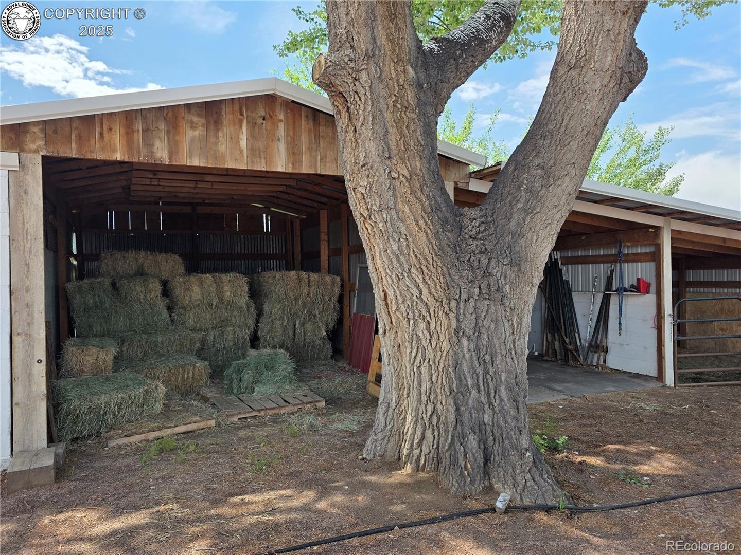 MLS Image #39 for 1537  willow street,canon city, Colorado