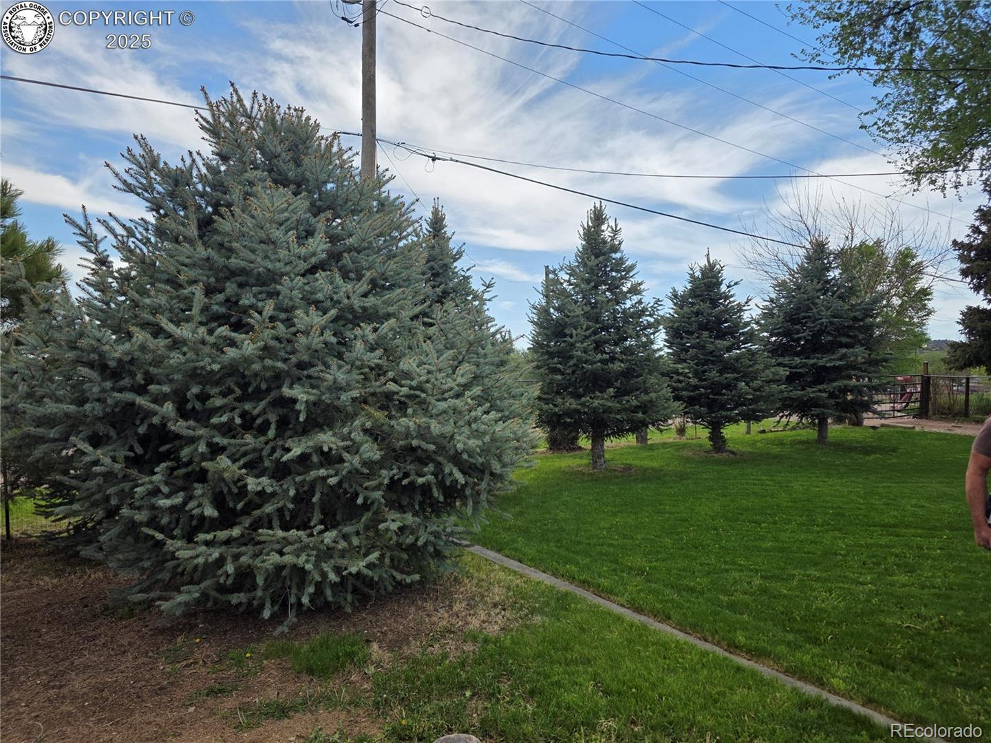 MLS Image #4 for 1537  willow street,canon city, Colorado
