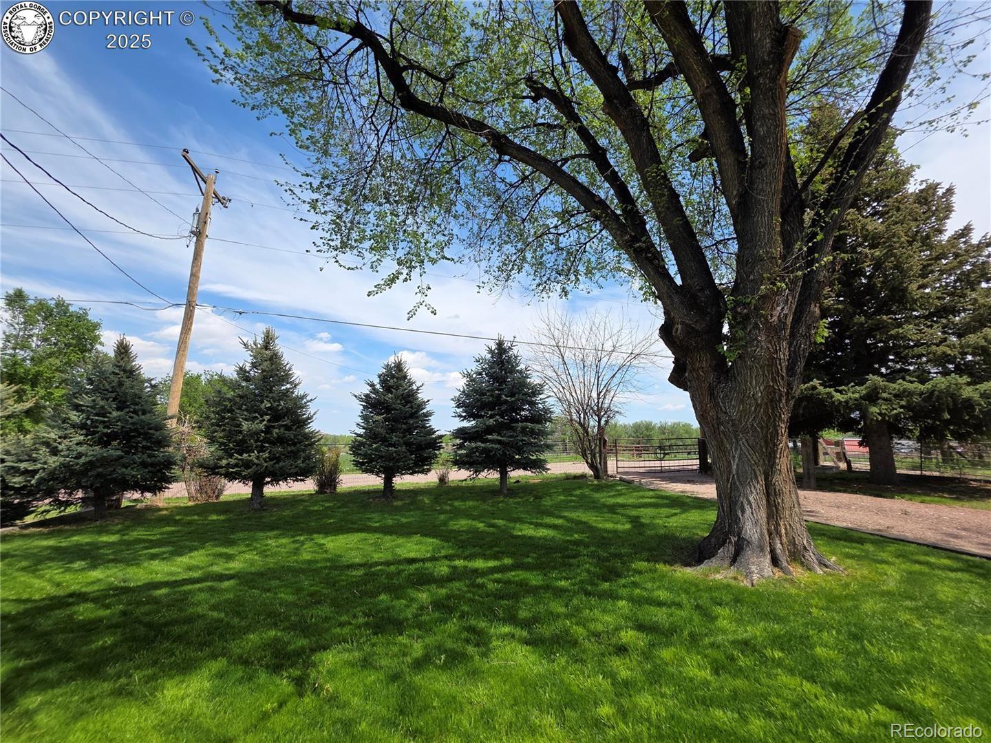 MLS Image #42 for 1537  willow street,canon city, Colorado