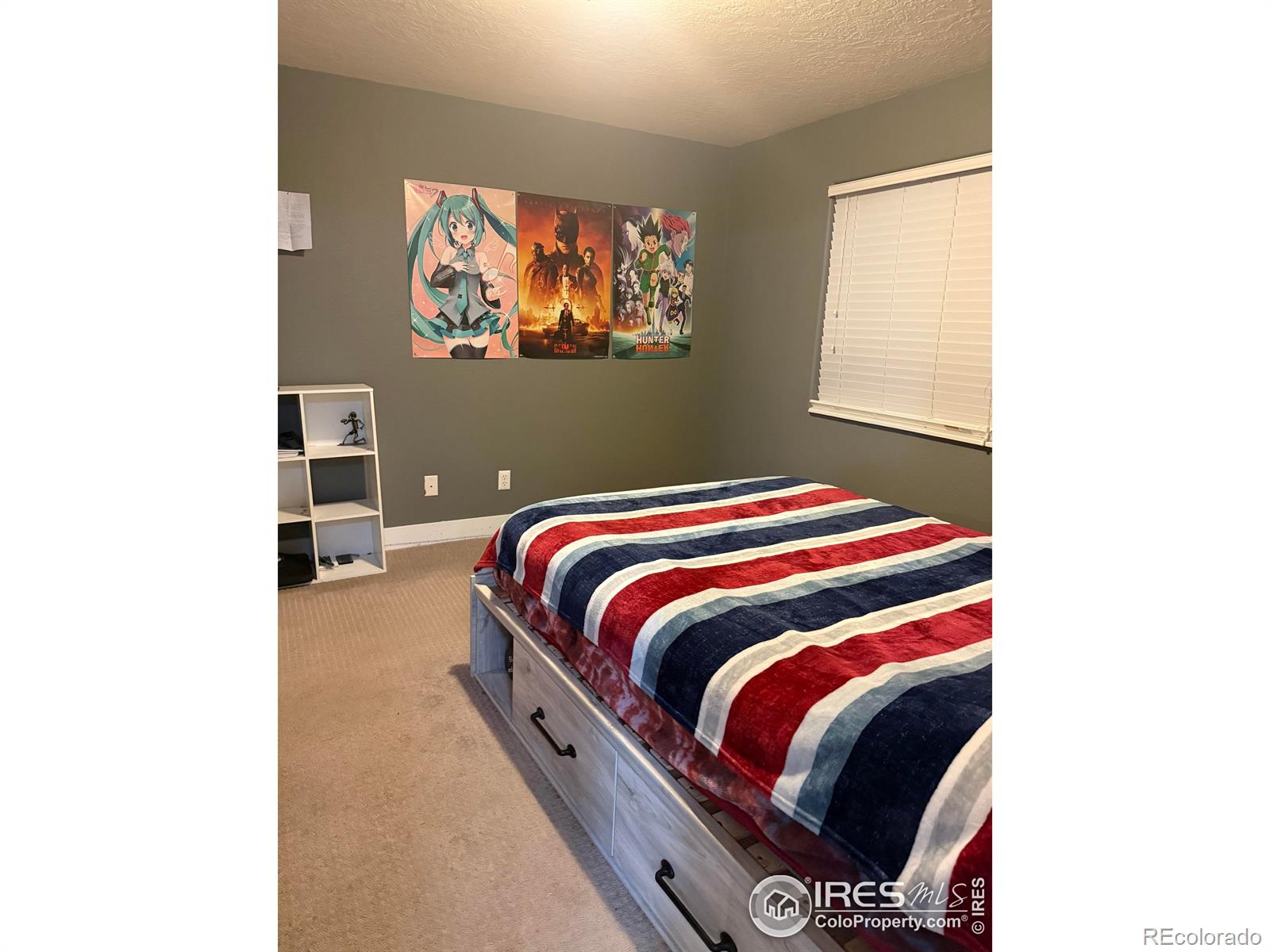 MLS Image #18 for 1460  hawkridge road,eaton, Colorado