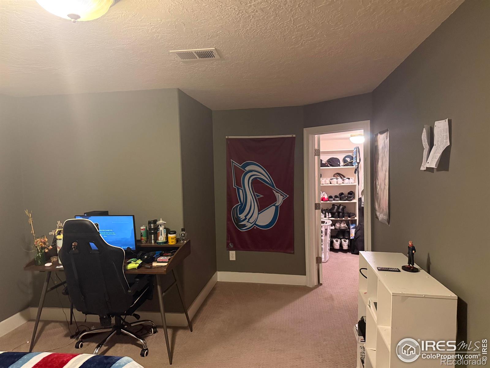 MLS Image #19 for 1460  hawkridge road,eaton, Colorado