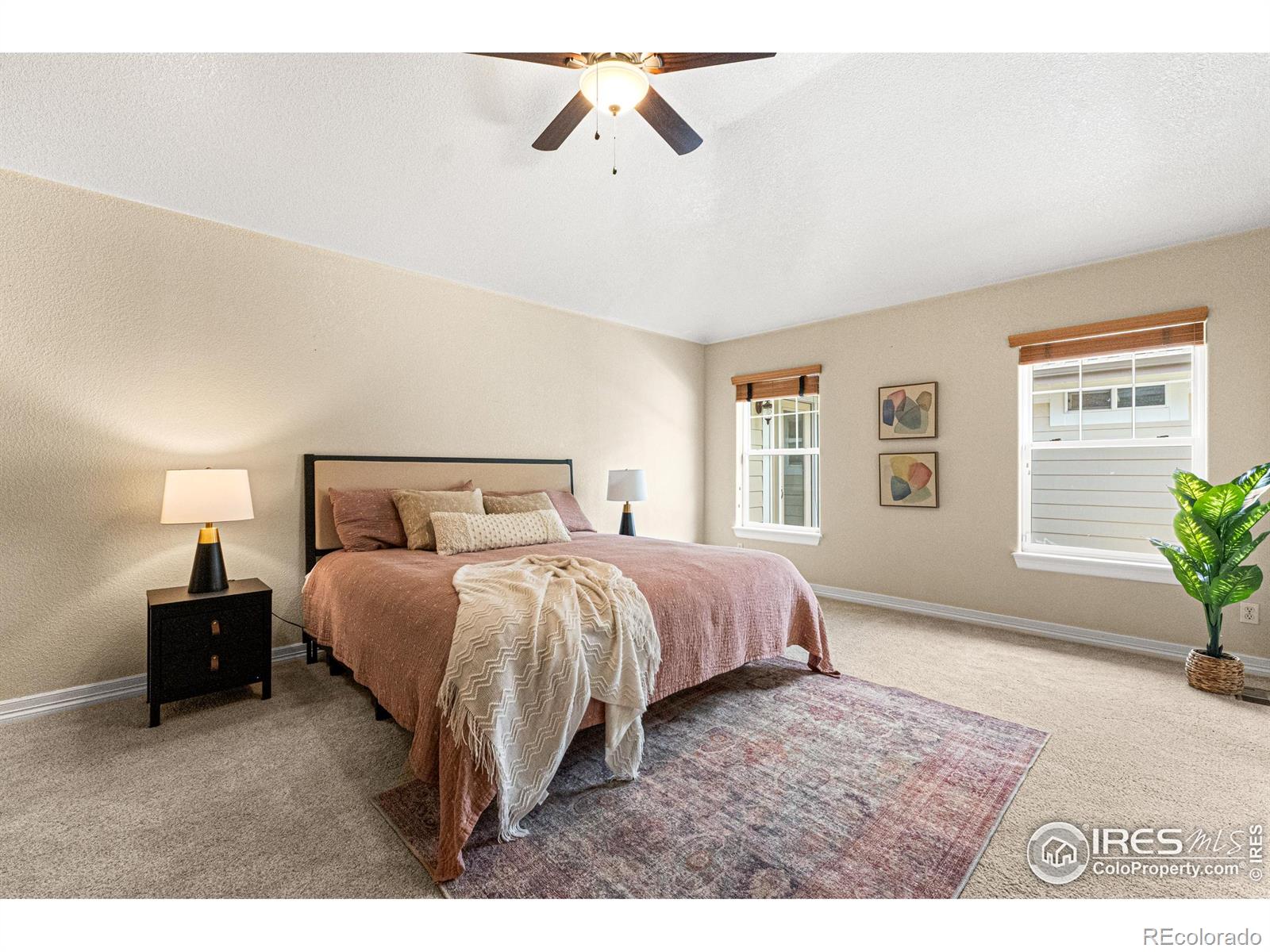 MLS Image #19 for 6495  eagle shadow avenue,brighton, Colorado