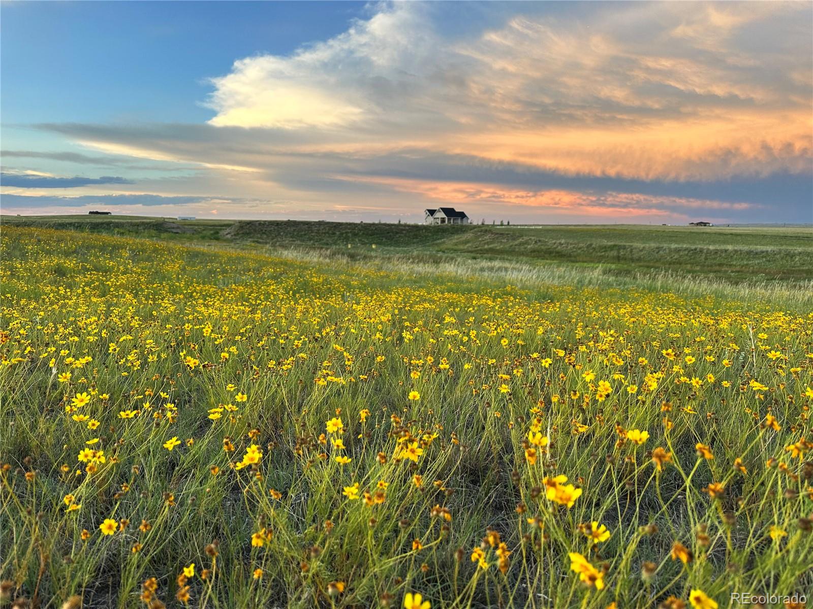 MLS Image #40 for 18320  falcon highway,peyton, Colorado