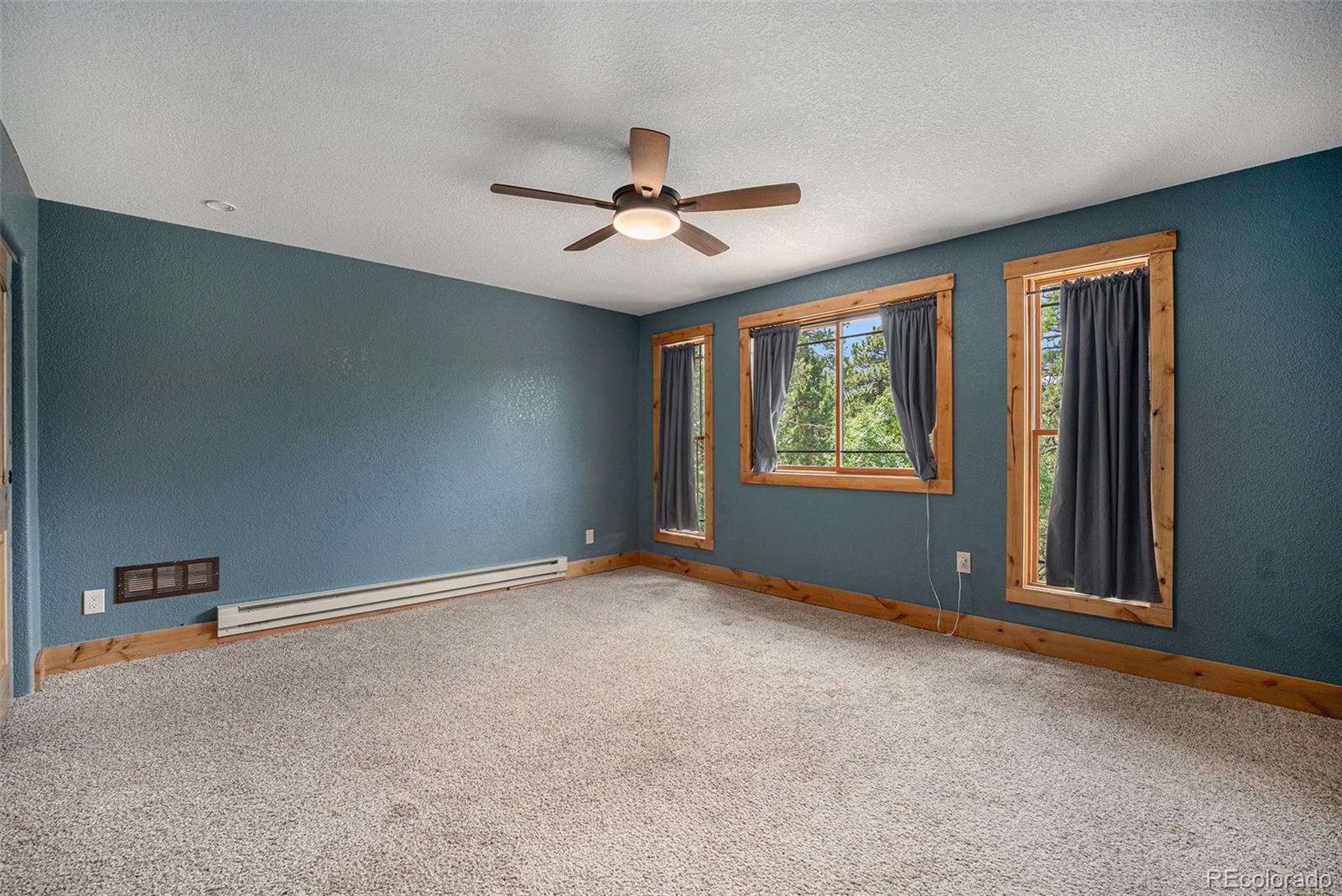 MLS Image #16 for 9690  highway 73 ,conifer, Colorado