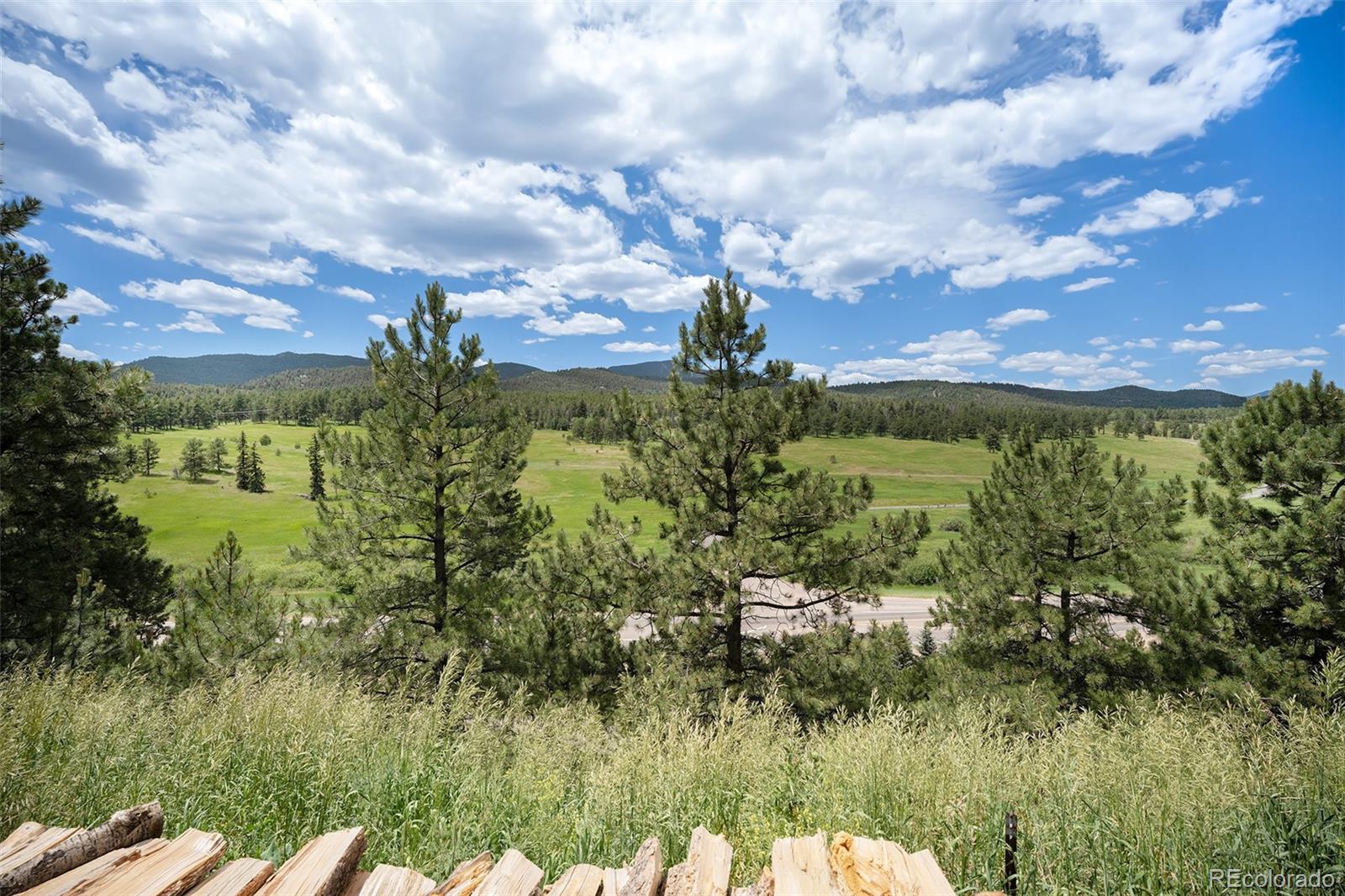 MLS Image #30 for 9690  highway 73 ,conifer, Colorado