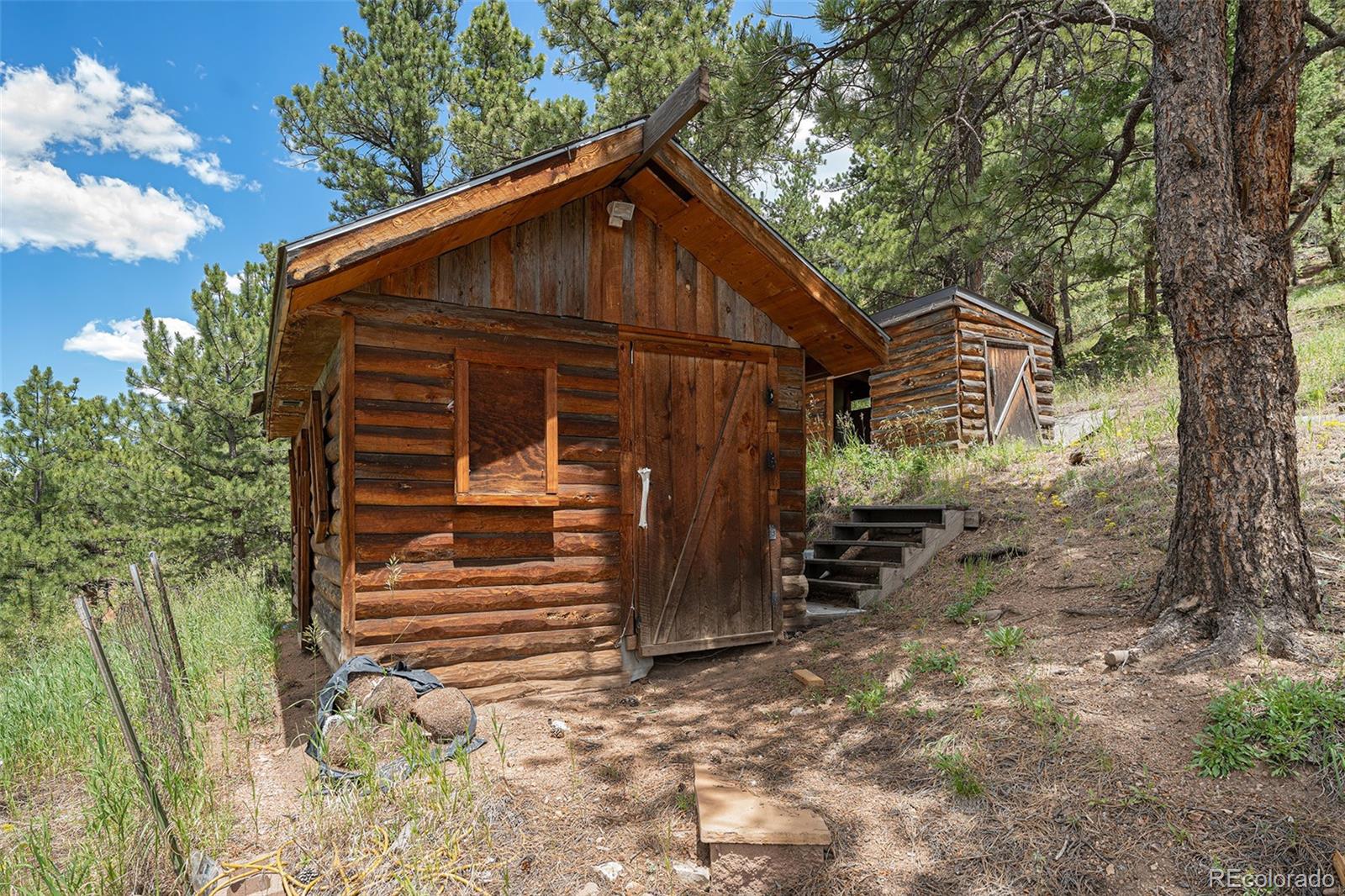MLS Image #31 for 9690  highway 73 ,conifer, Colorado