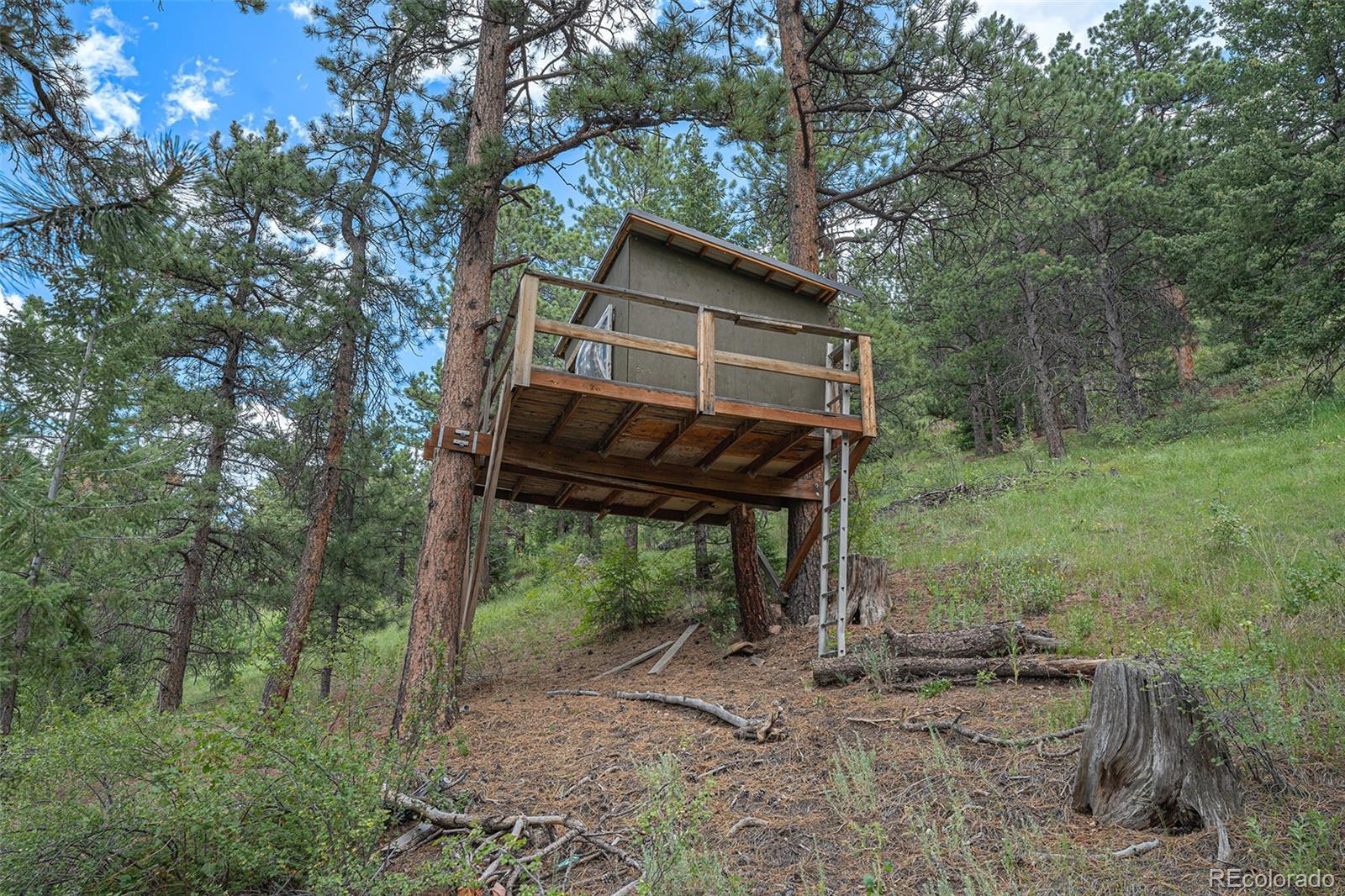 MLS Image #34 for 9690  highway 73 ,conifer, Colorado