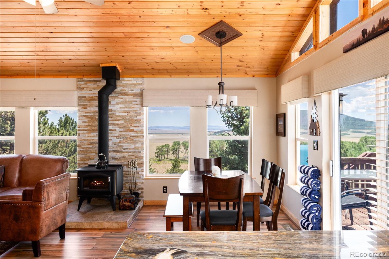 MLS Image #17 for 1301  sheep ridge road,fairplay, Colorado