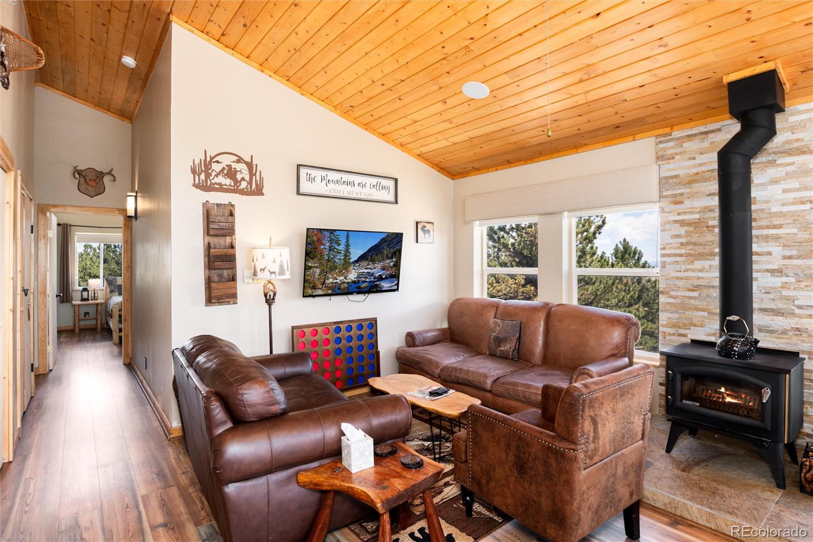 MLS Image #3 for 1301  sheep ridge road,fairplay, Colorado