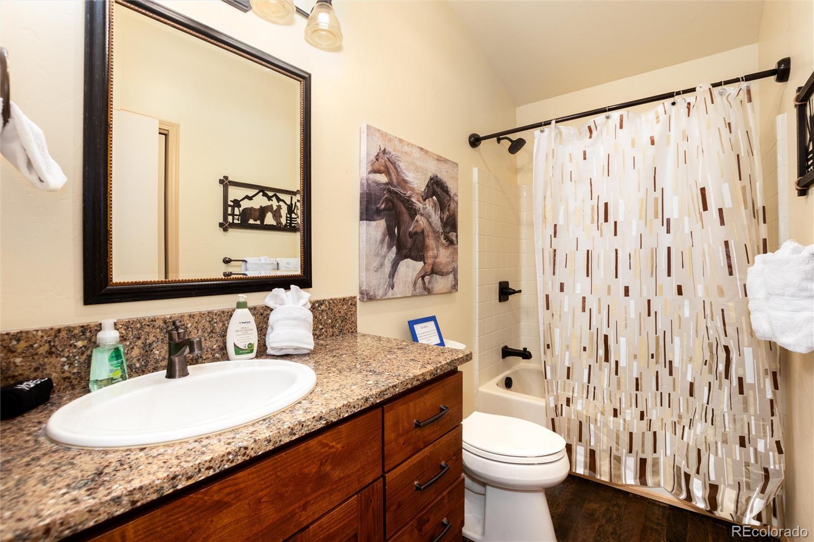 MLS Image #41 for 1301  sheep ridge road,fairplay, Colorado
