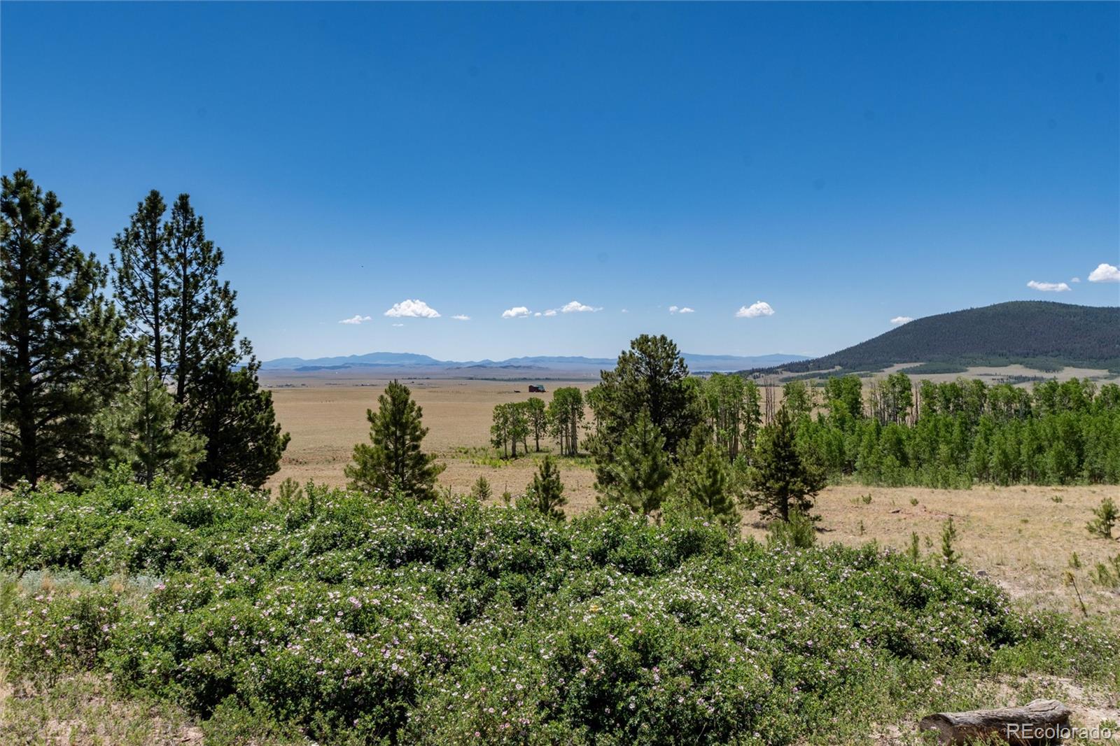 MLS Image #46 for 1301  sheep ridge road,fairplay, Colorado