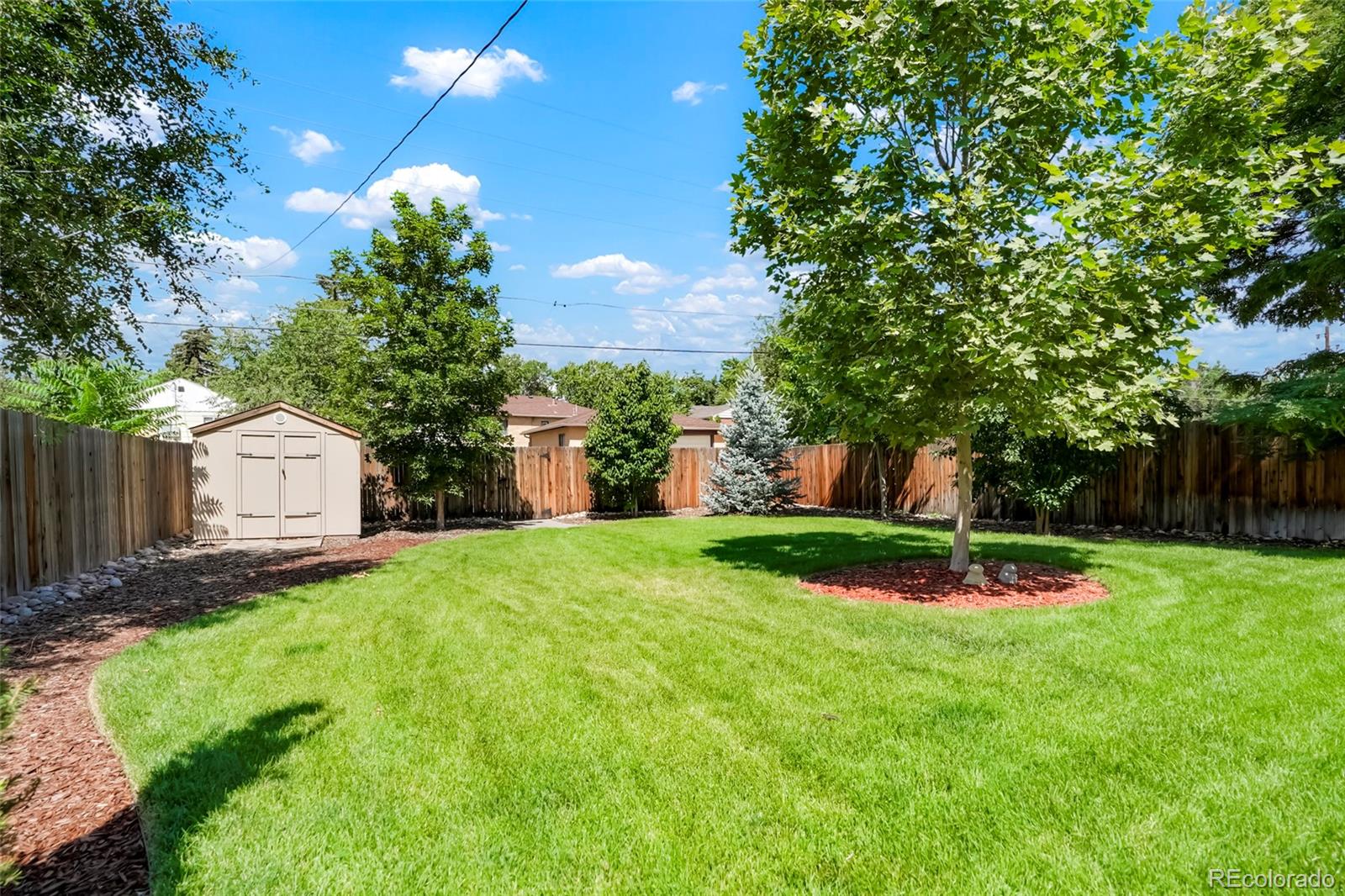 MLS Image #25 for 3621  olive street,denver, Colorado