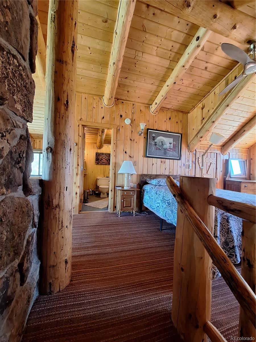 MLS Image #17 for 4653  schierl road,fort garland, Colorado