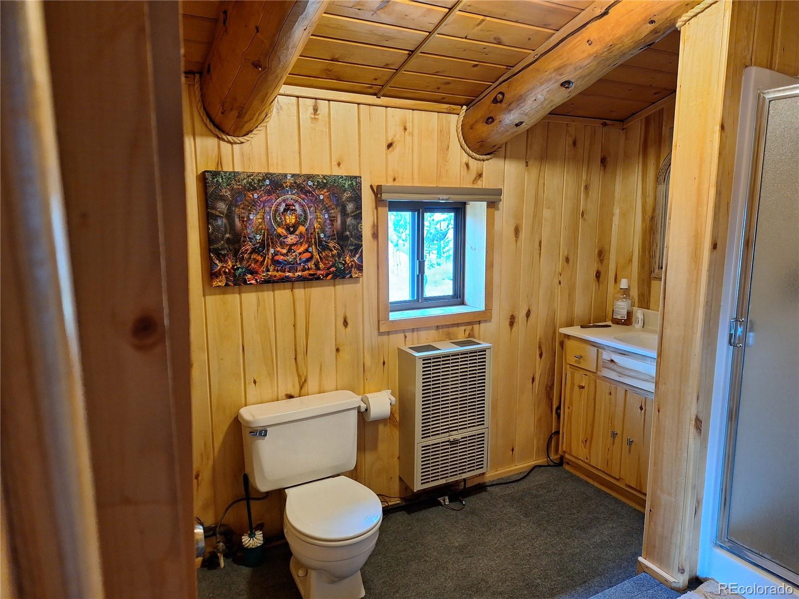 MLS Image #21 for 4653  schierl road,fort garland, Colorado