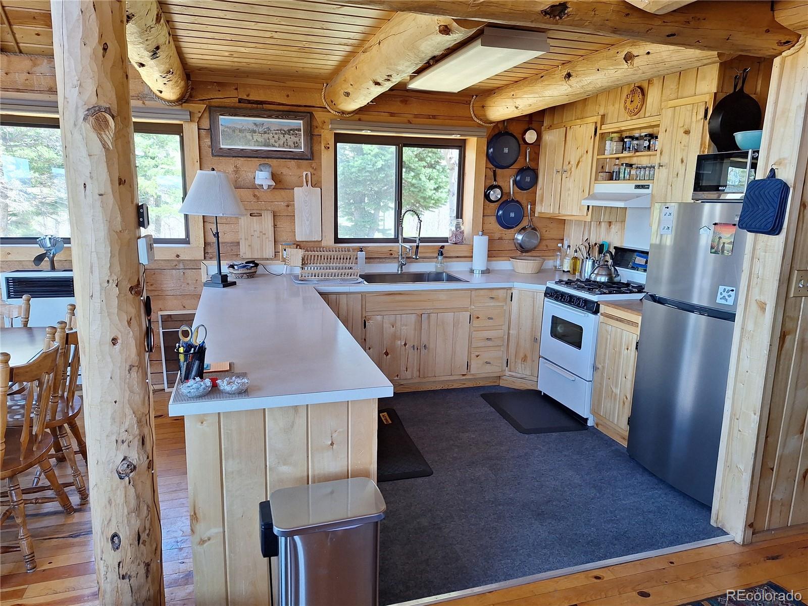 MLS Image #7 for 4653  schierl road,fort garland, Colorado