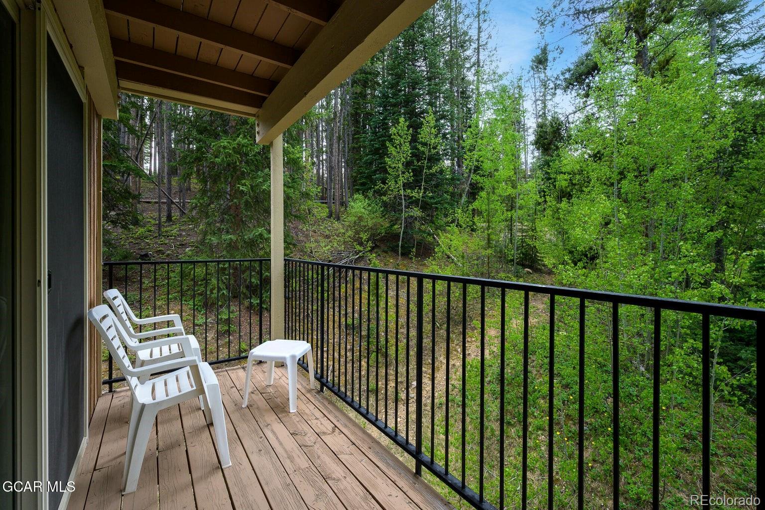 MLS Image #6 for 128  702 ,granby, Colorado