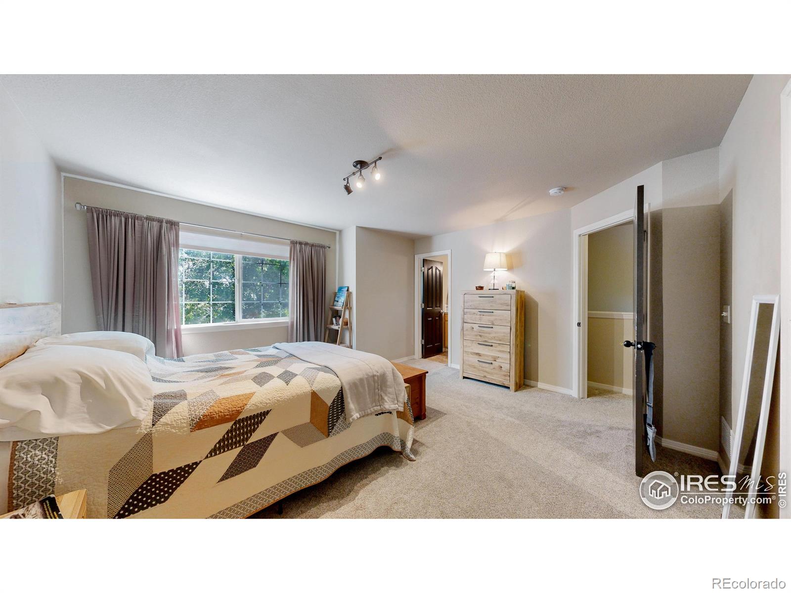 MLS Image #13 for 1109  andrews peak drive,fort collins, Colorado