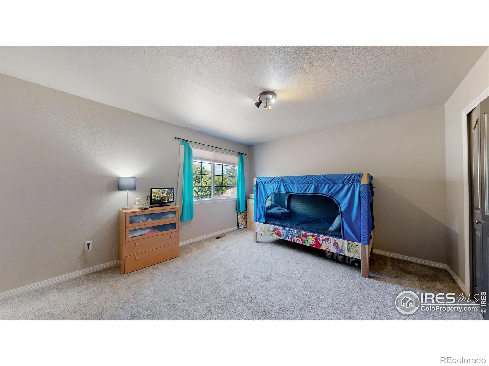 MLS Image #16 for 1109  andrews peak drive,fort collins, Colorado