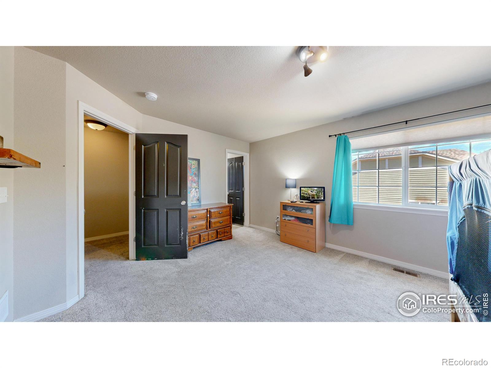 MLS Image #17 for 1109  andrews peak drive,fort collins, Colorado