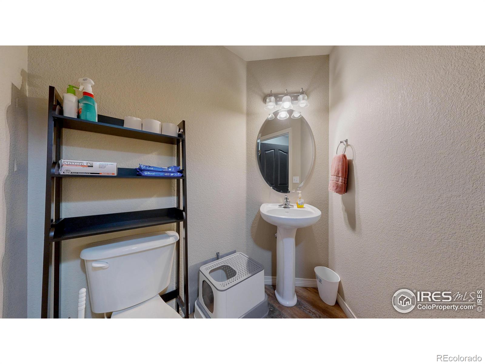 MLS Image #24 for 1109  andrews peak drive,fort collins, Colorado