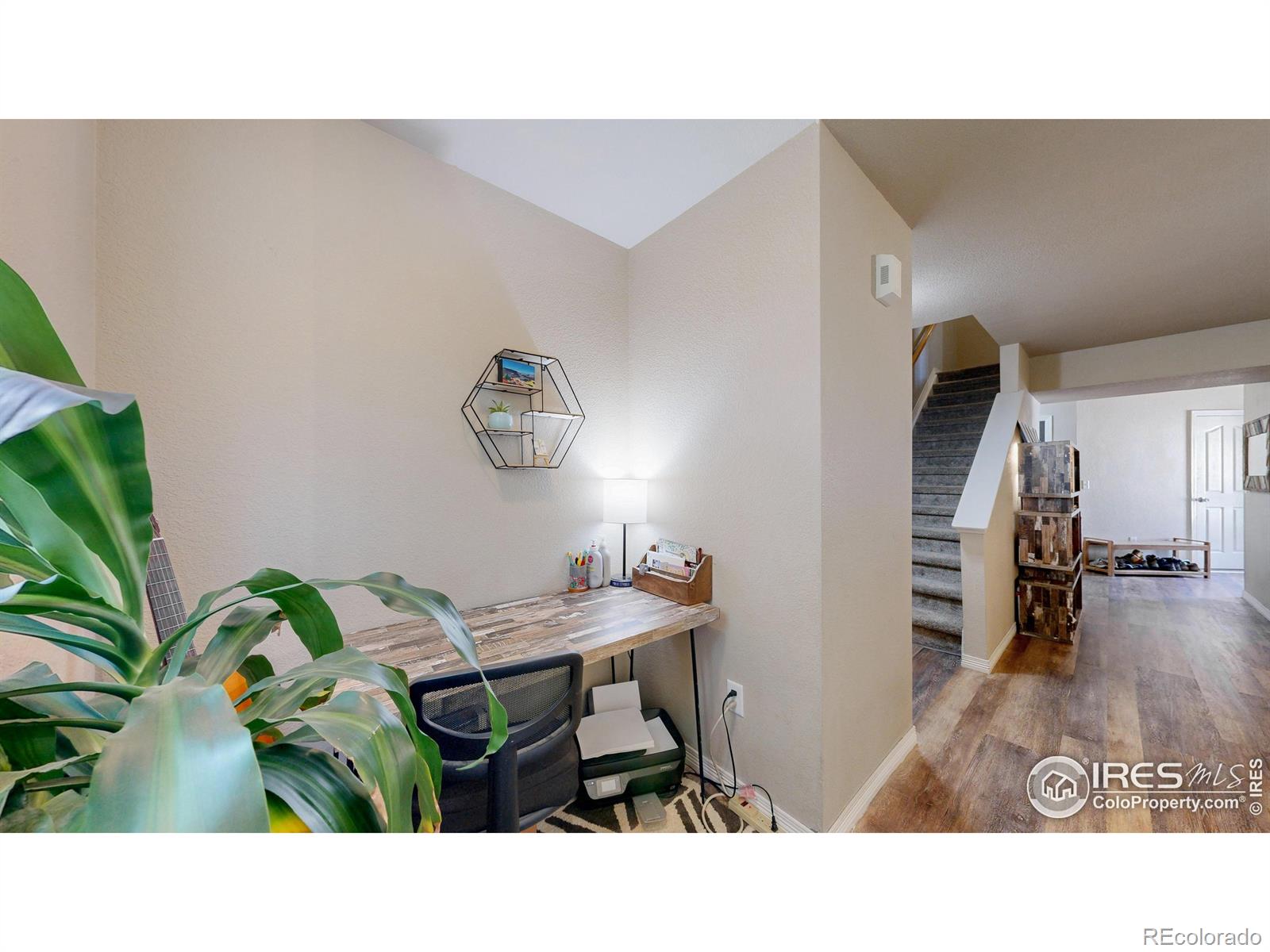 MLS Image #3 for 1109  andrews peak drive,fort collins, Colorado