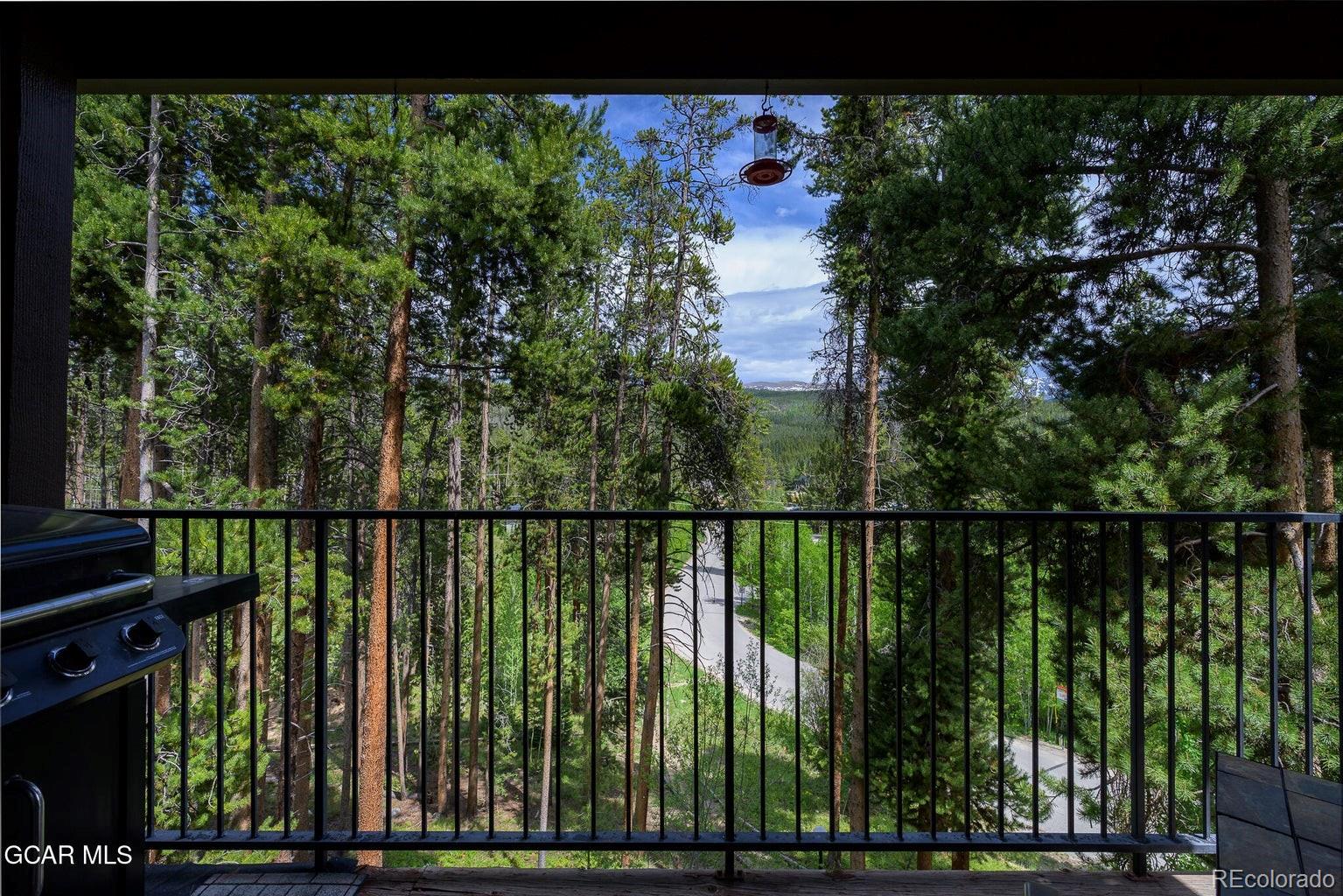 MLS Image #28 for 189  village drive,winter park, Colorado