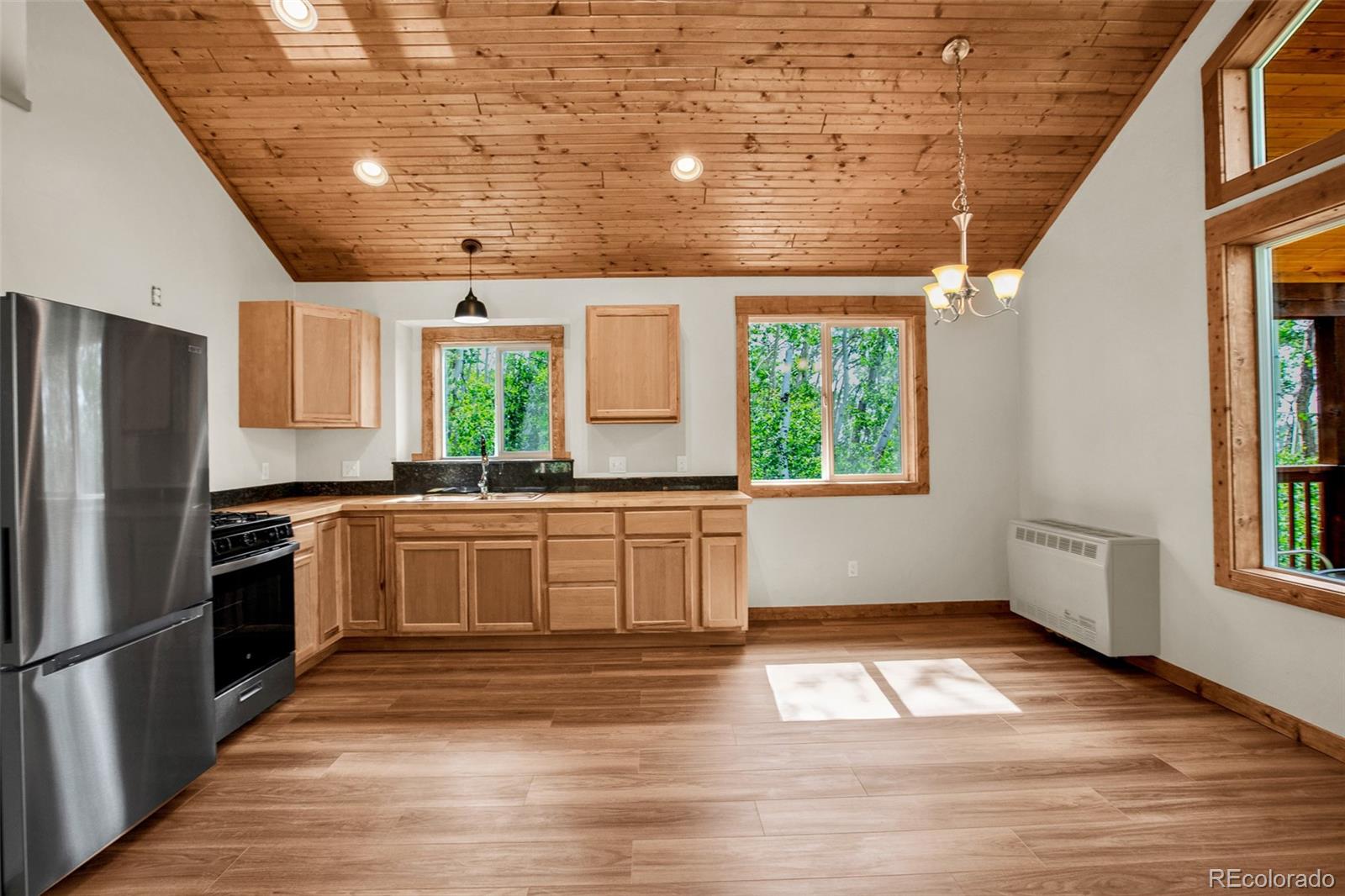 MLS Image #11 for 558  vots drive,fairplay, Colorado