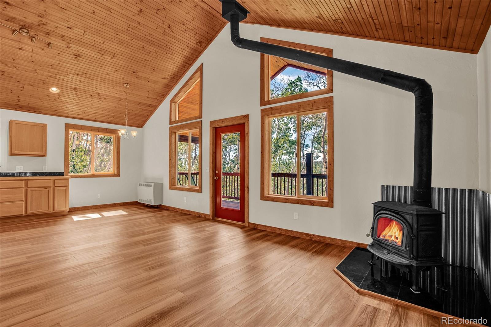 MLS Image #15 for 558  vots drive,fairplay, Colorado