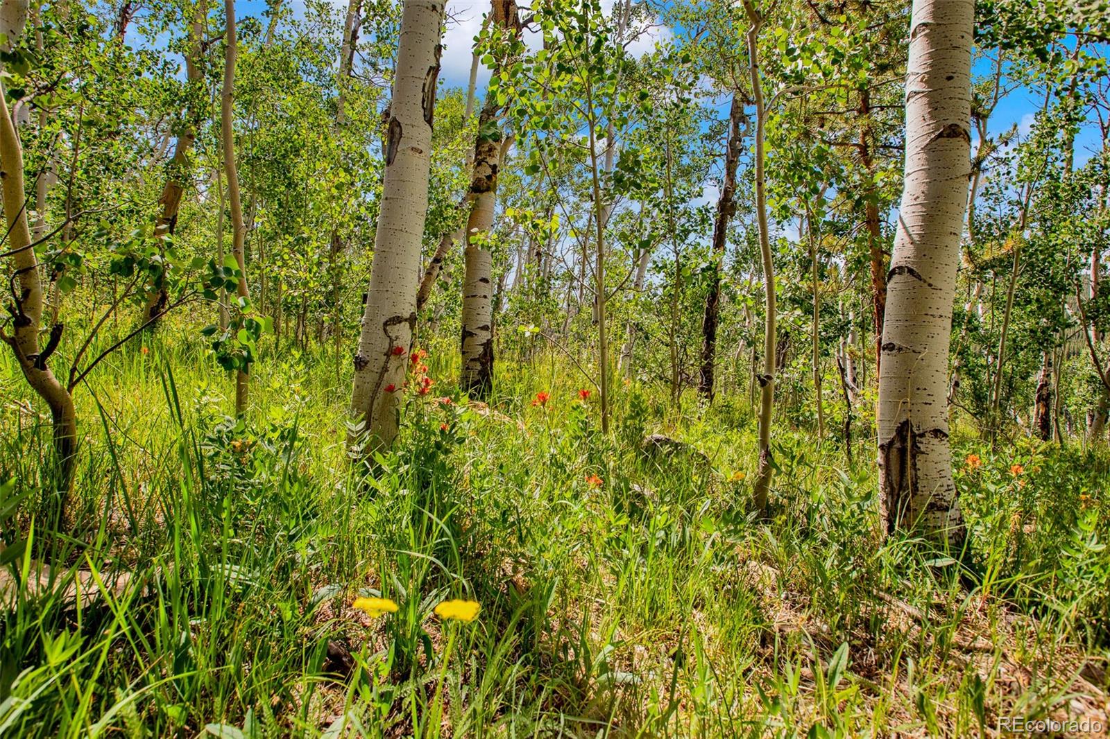 MLS Image #23 for 558  vots drive,fairplay, Colorado