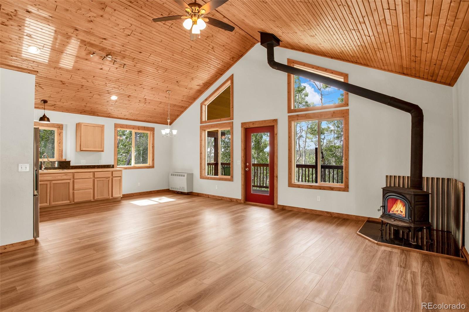 MLS Image #3 for 558  vots drive,fairplay, Colorado
