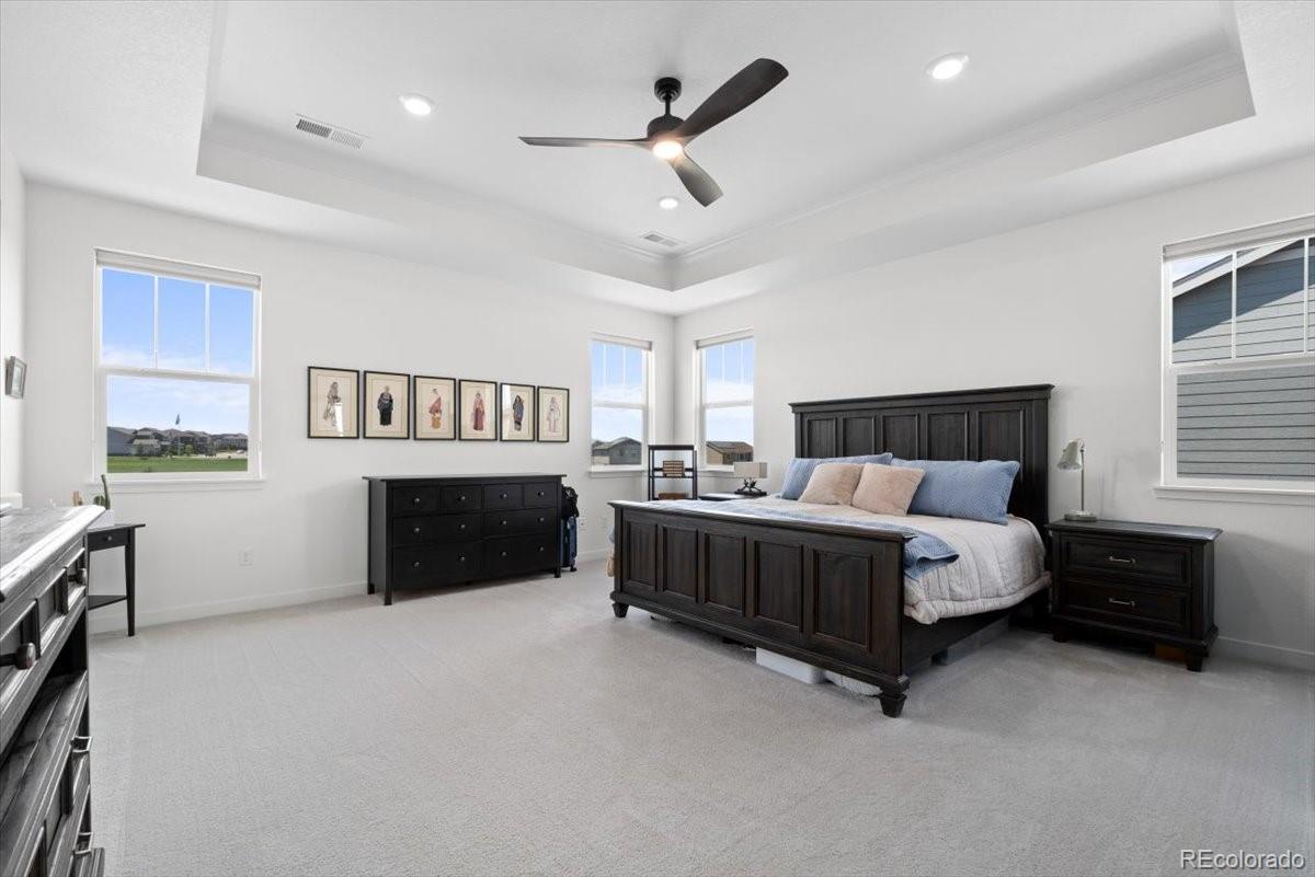 MLS Image #10 for 14601  hudson street,thornton, Colorado