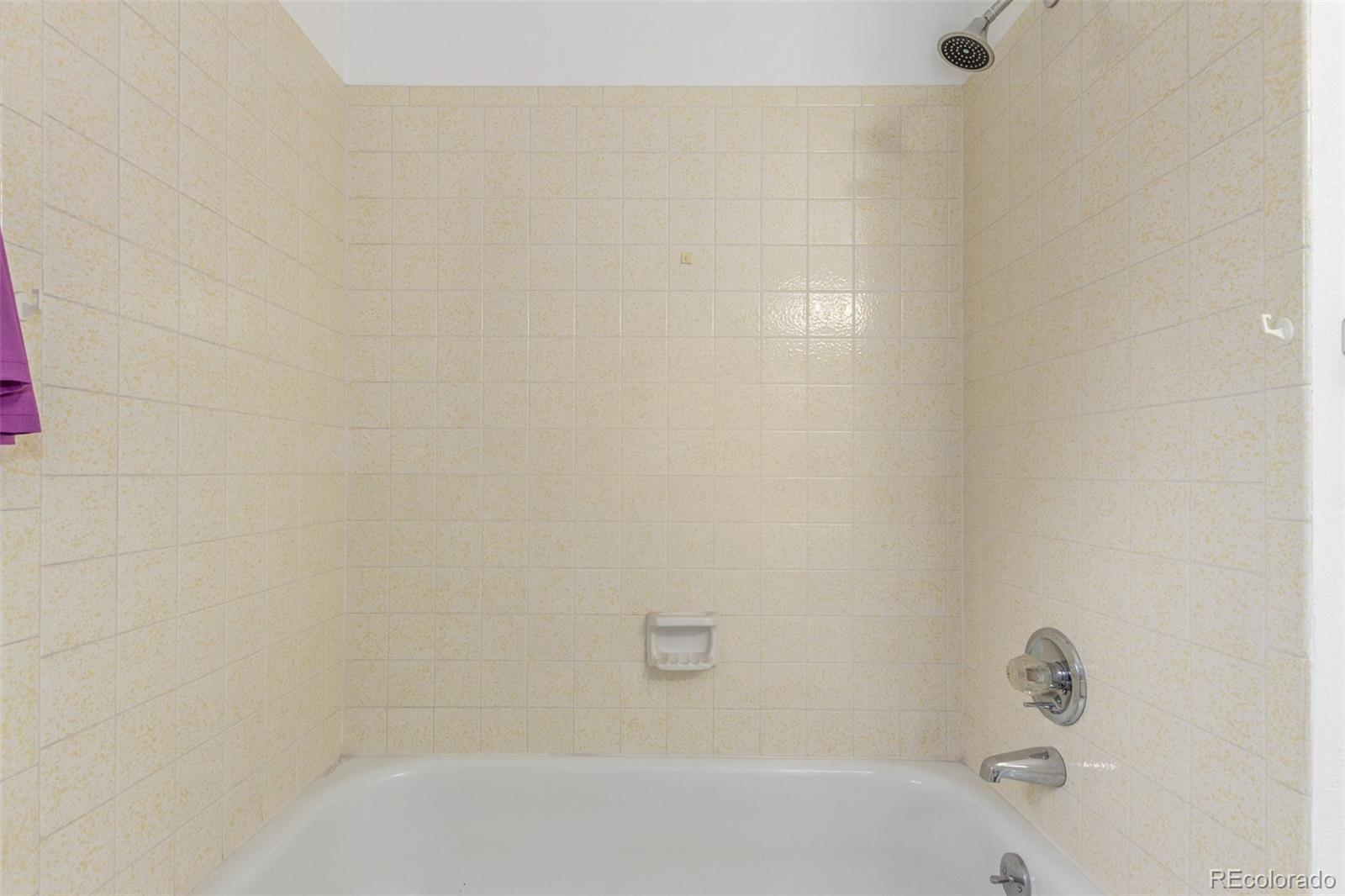 MLS Image #32 for 16699 e 7th avenue,aurora, Colorado