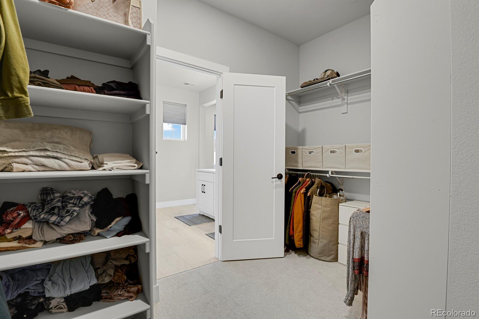 MLS Image #26 for 7198  watercress drive,littleton, Colorado