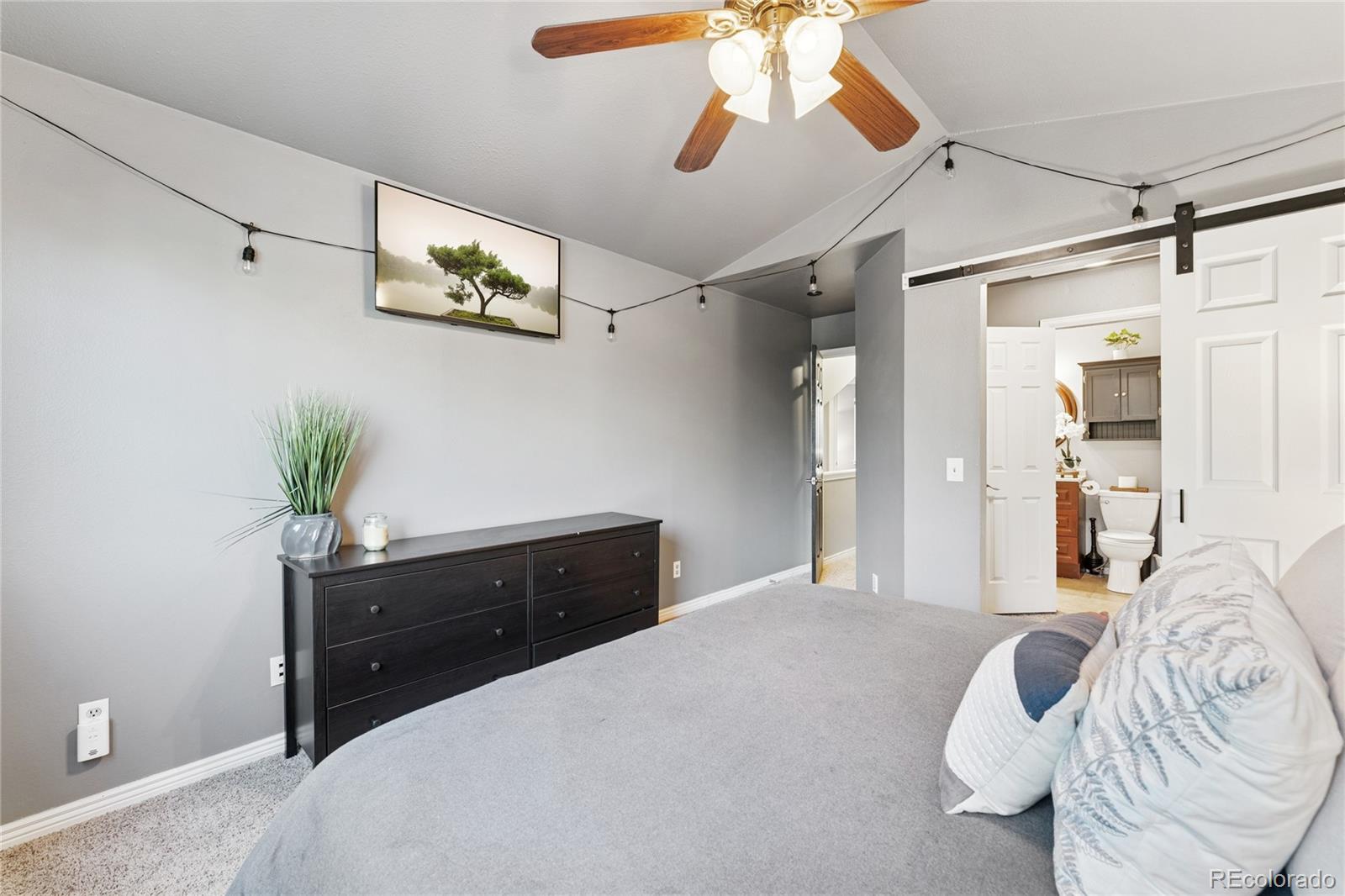 MLS Image #20 for 561  james street,highlands ranch, Colorado