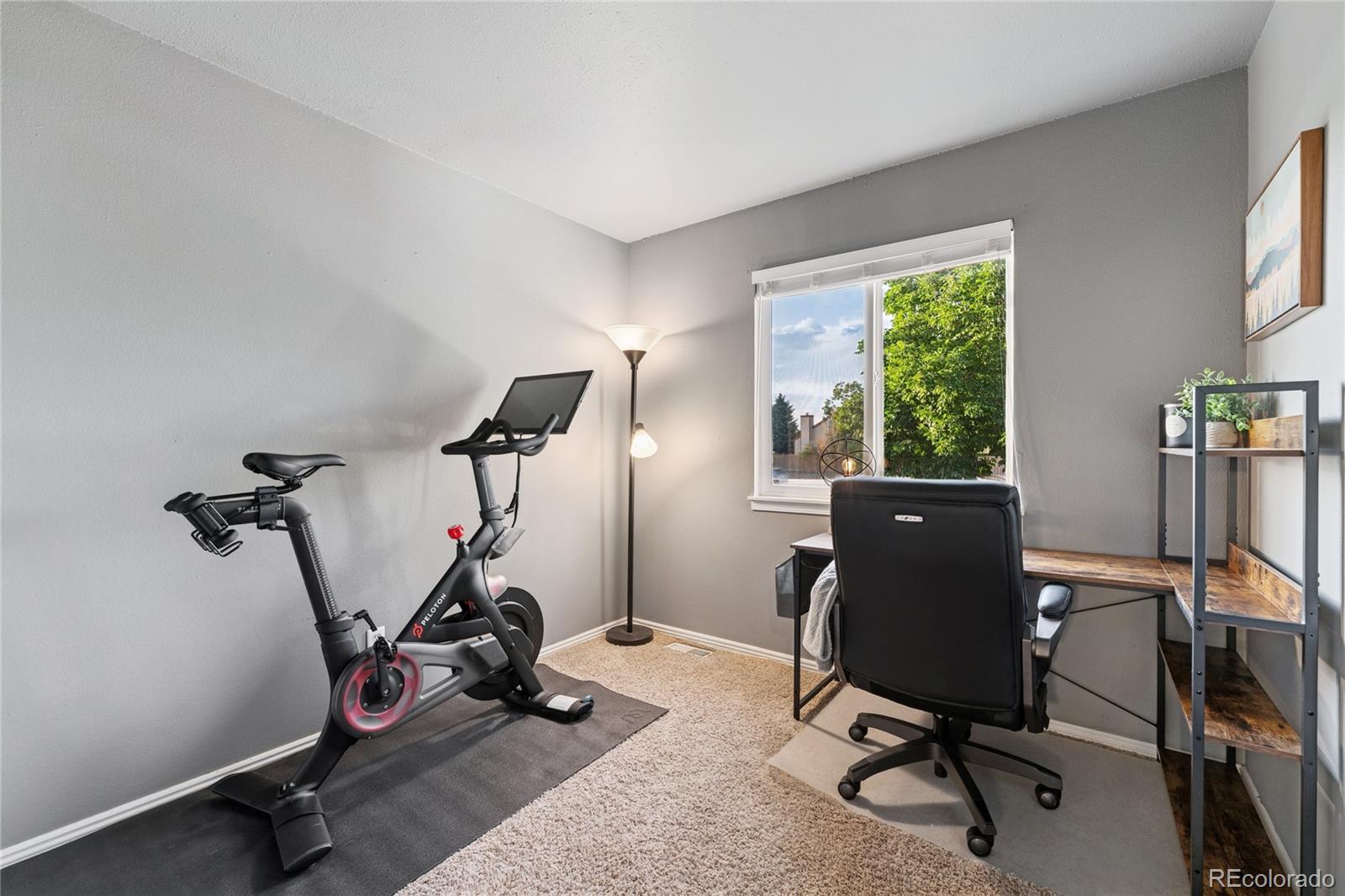 MLS Image #23 for 561  james street,highlands ranch, Colorado