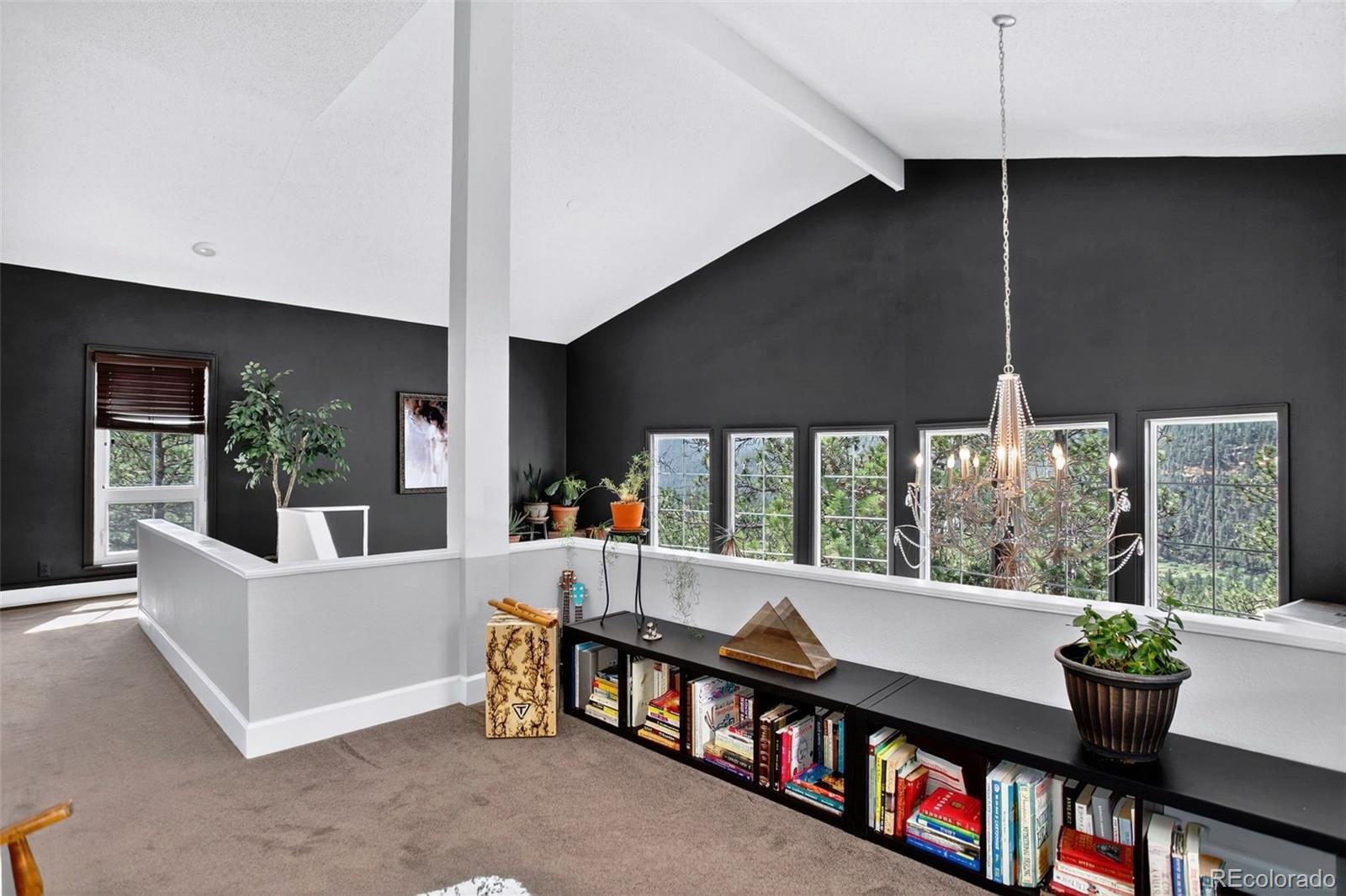 MLS Image #20 for 16596  ouray road,pine, Colorado