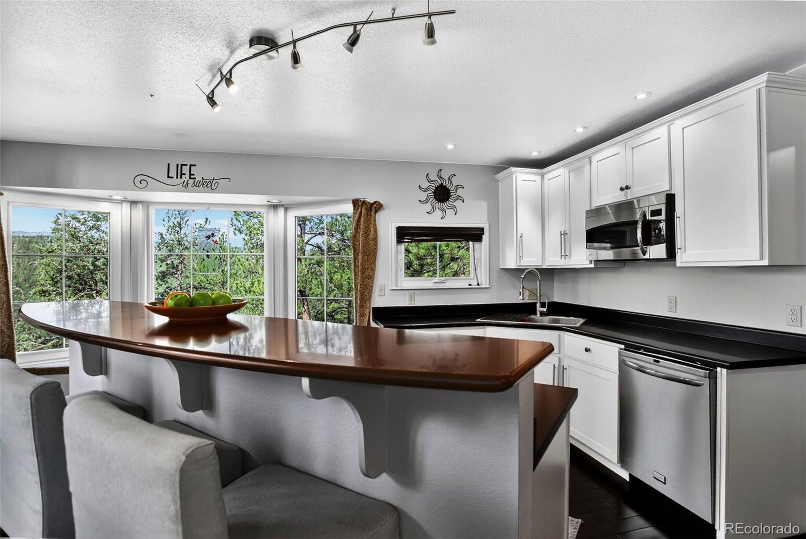 MLS Image #6 for 16596  ouray road,pine, Colorado