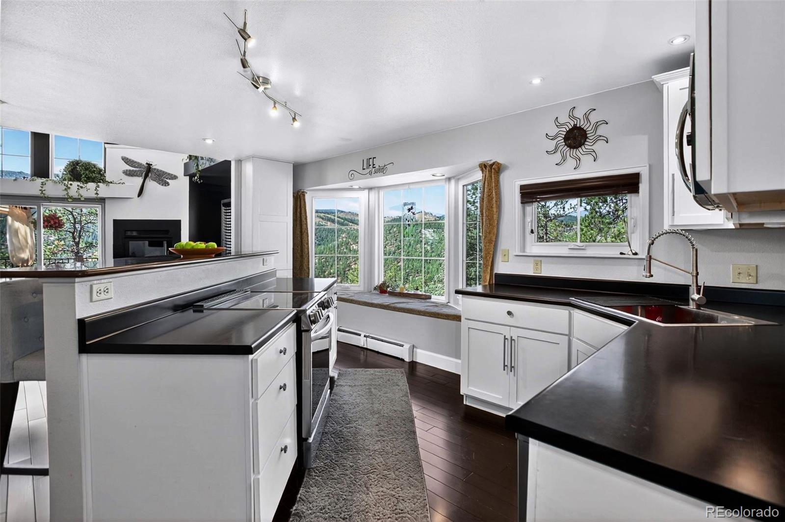 MLS Image #7 for 16596  ouray road,pine, Colorado